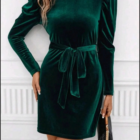 Neck Puff Sleeve Belted Velvet Dress - Picture 3 of 5